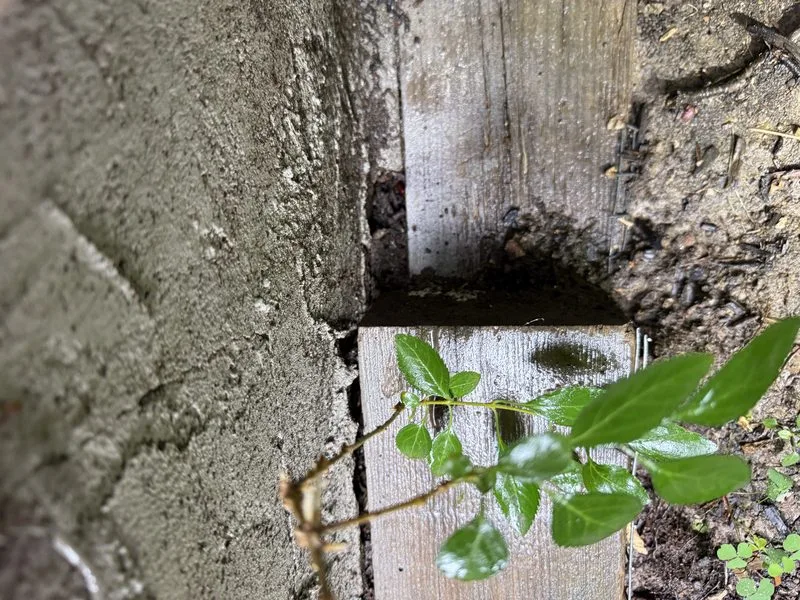 Mouse entry point identified - mice control in Delaware, Ohio - Pest Control PRO LLC